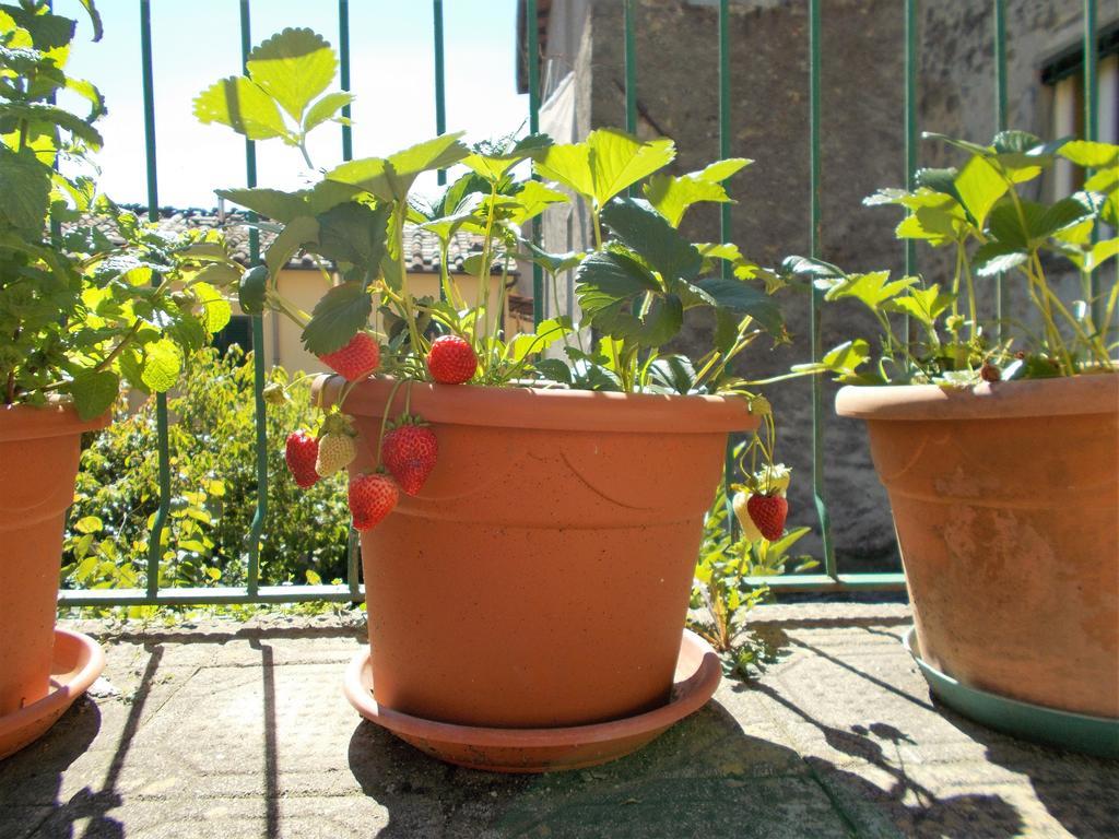 Casa Ginevra Bagni di Lucca Exterior foto